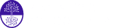 Digital Regenesys
