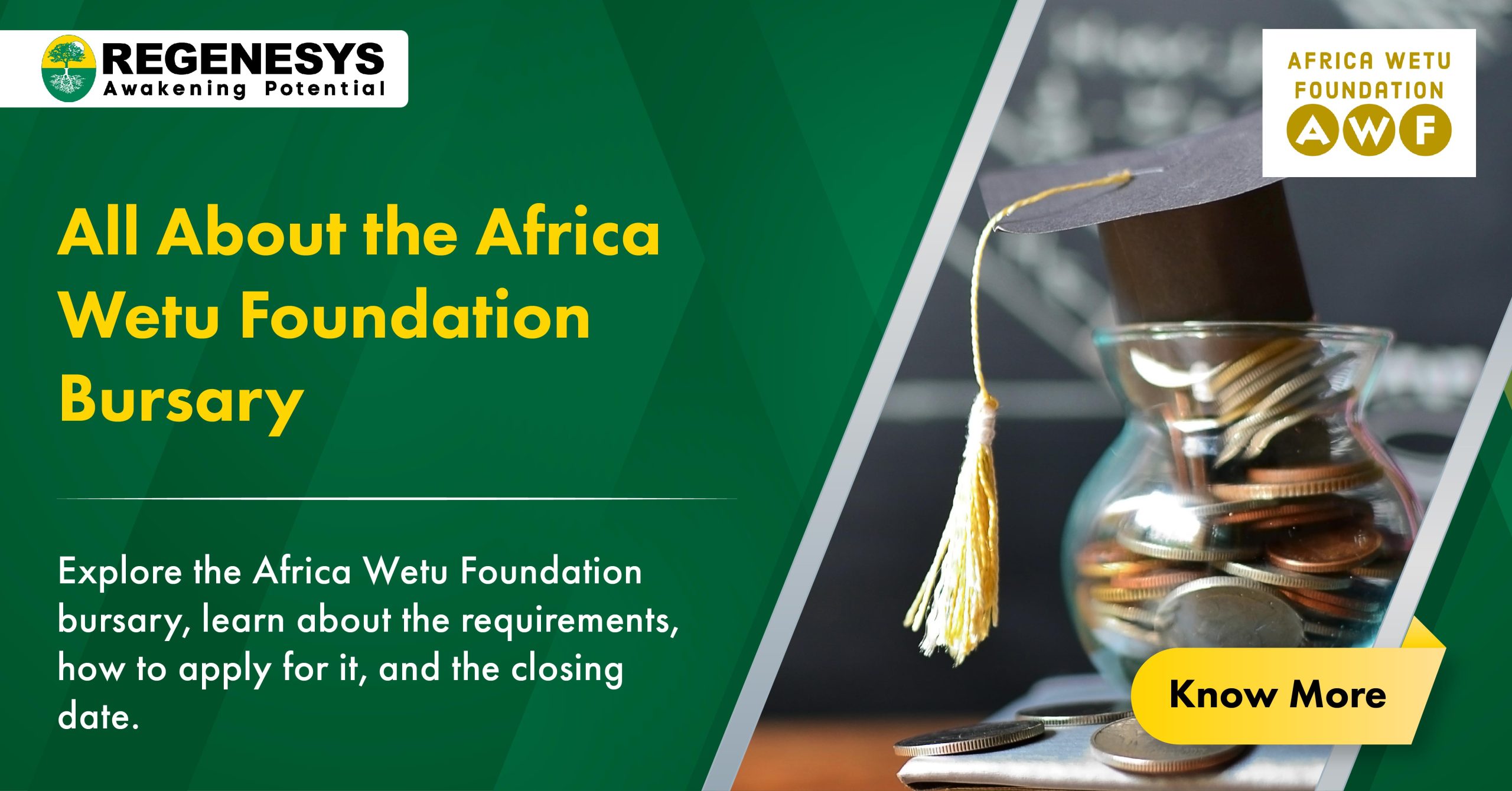 africa wetu foundation bursary 2024

