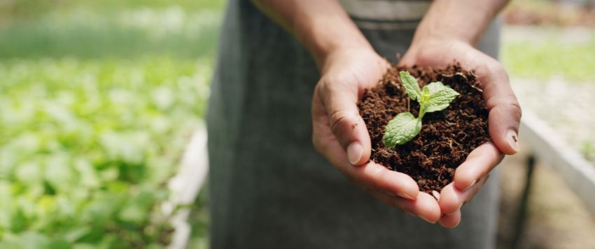 nature vs nurture leadership